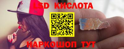 гидропоника Новокубанск